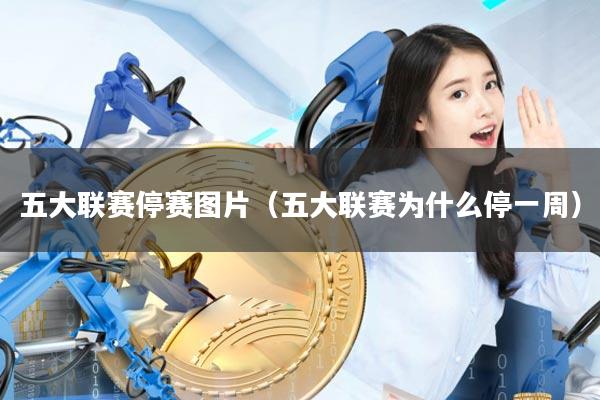 五大联赛停赛图片（五大联赛为什么停一周）
